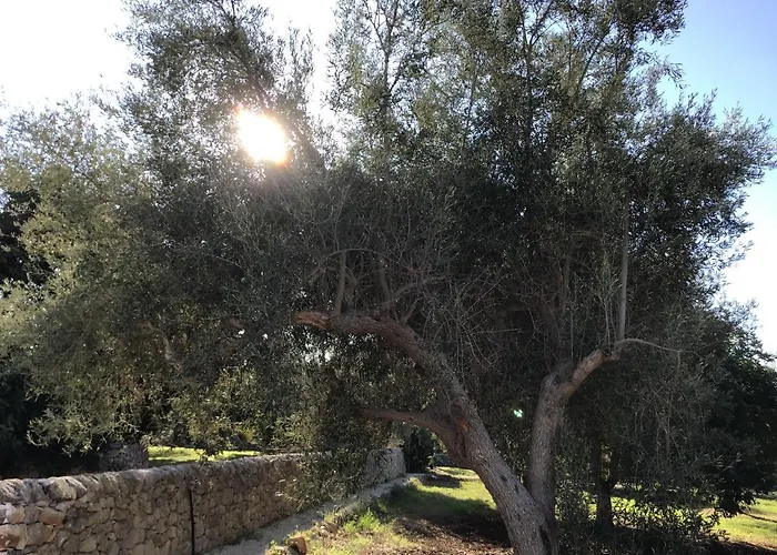 Borgo Delle Stelle