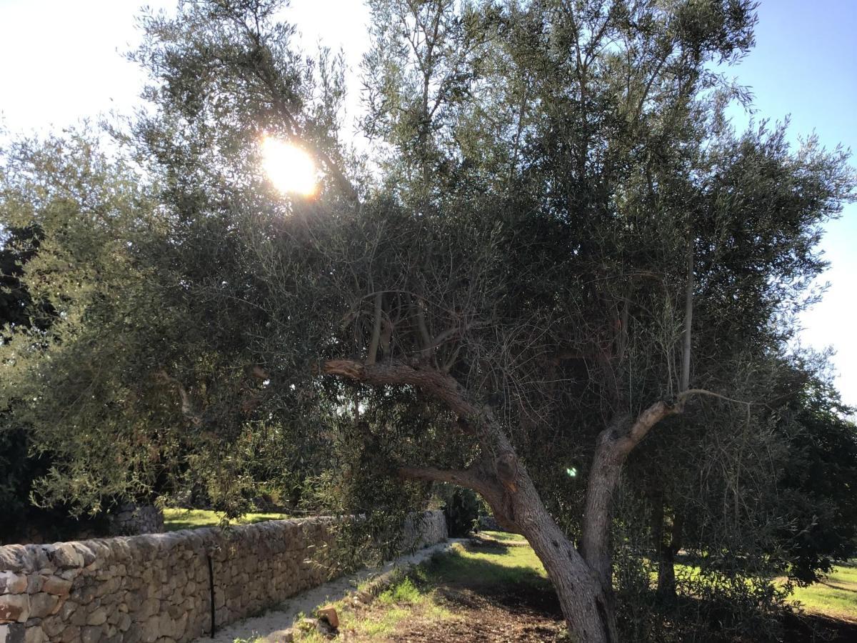 Borgo Delle Stelle *